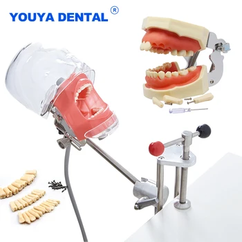 Стоматологический симулятор Простая модель Головы, Манекен-Фантом с Зубами Для учебной практики, Оборудование для изучения стоматологии Изображение