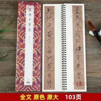 Полная Оригинальная Большая Тонкая Книга в Золотом Корпусе С Тысячесимвольным Текстом Song Zhaoji Brush Copybook Для Взрослых Huizong True Изображение