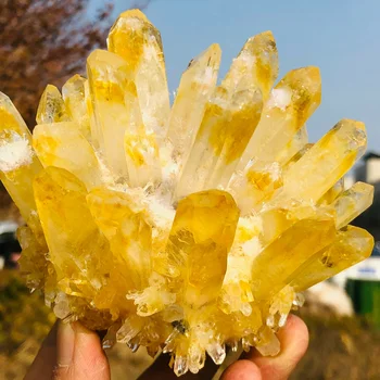 Красивый образец целебного скопления кристаллов тибетского кварца желтого цвета Изображение